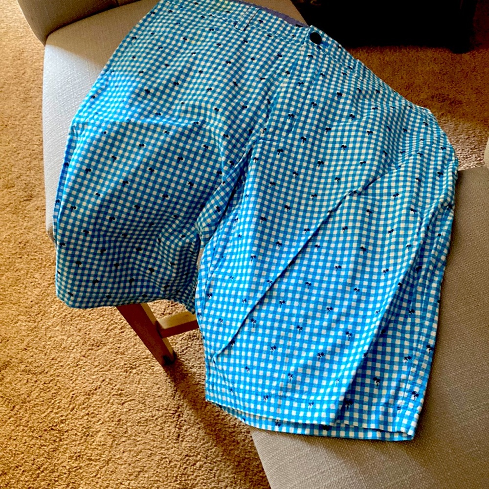 Banana Republic turquoise check shorts